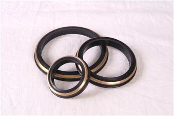 Energy Industry Seals